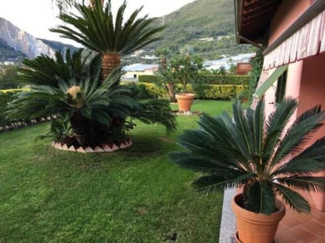 Villa in vendita a Ventimiglia