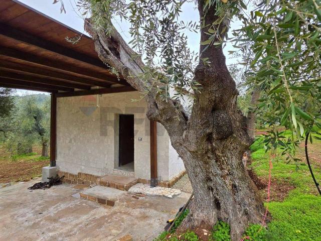 Villa in vendita a Vieste