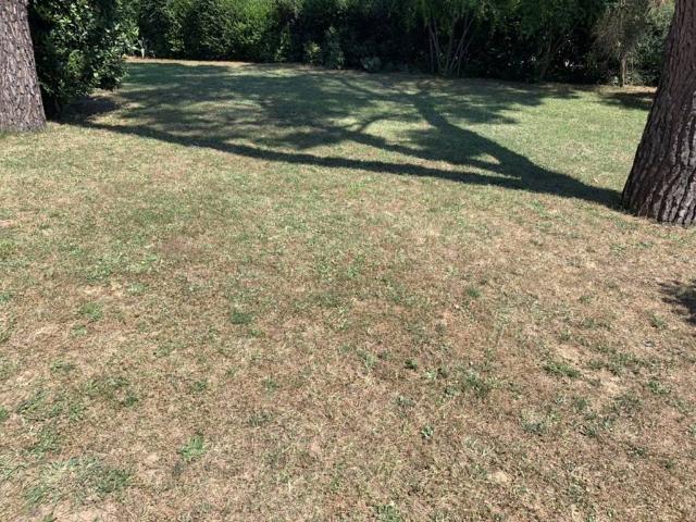Villa in vendita a Vinci FI
