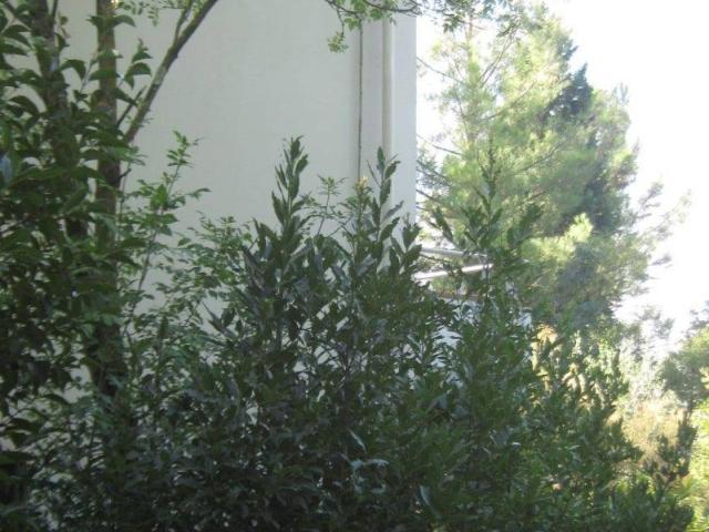 Villa in vendita a Vinci FI