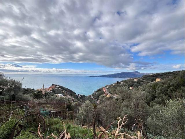 Villa in vendita a Zoagli GE