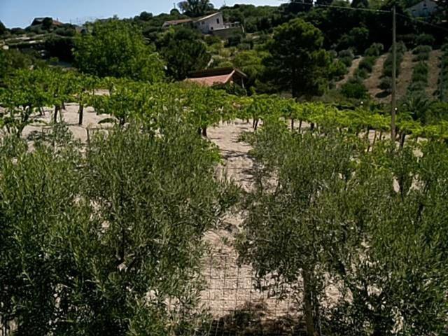 Villa in vendita di 30 m²