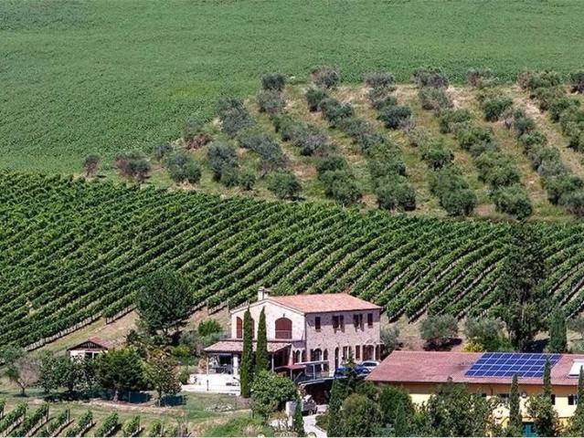Villa in vendita via Fuori il Fosso, 1, Trecastelli, Marche