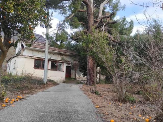 Villa in Viale Margherita