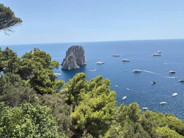 Villa in affitto a Capri via Tragara, arredato, terrazzo, buono stato TrovaCasa