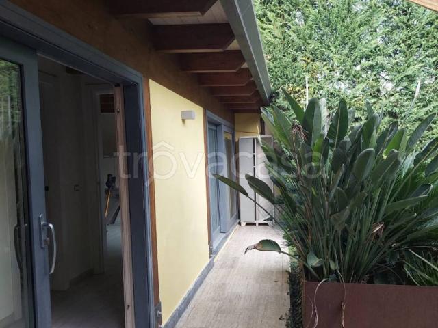 Villa in affitto a Carrara via Firenze, giardino privato, cucina abitabile TrovaCasa