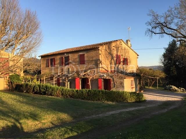 Villa in affitto a Castagneto Carducci, arredato, giardino privato, lavanderia TrovaCasa