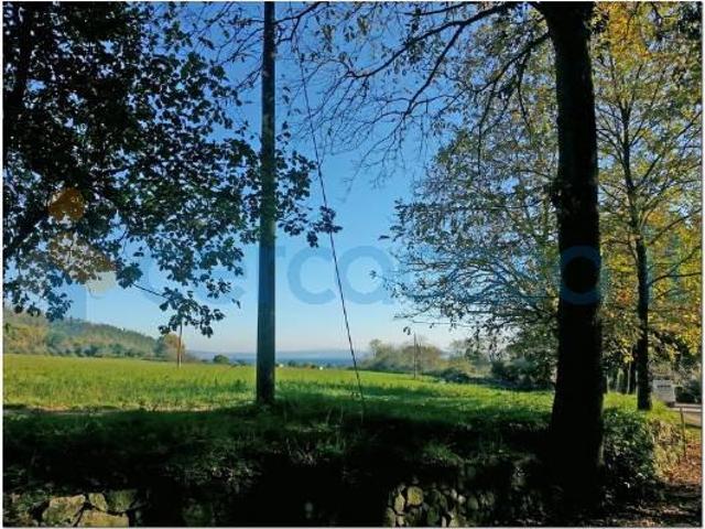 Villa in affitto a Bracciano