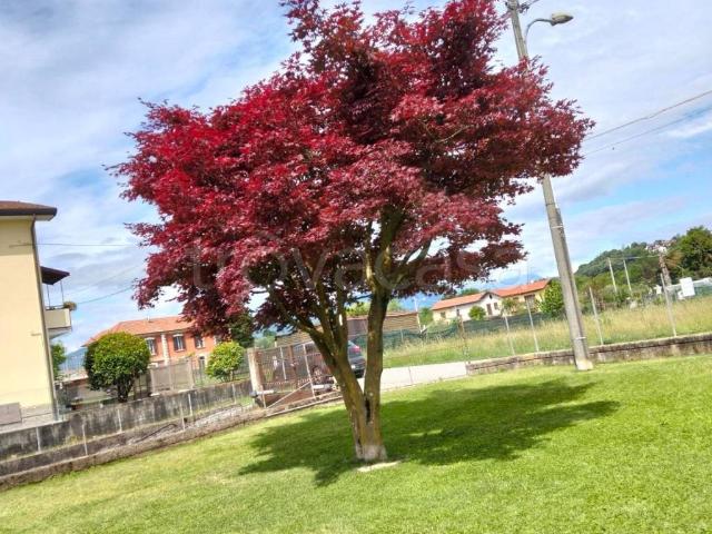 Villa in affitto a Brebbia via Gioacchino Rossini, arredato, giardino privato, box TrovaCasa