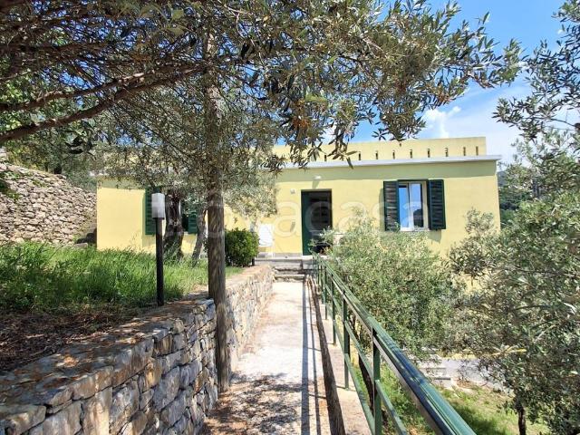 Villa in affitto a Genova salita Gerbidi TrovaCasa