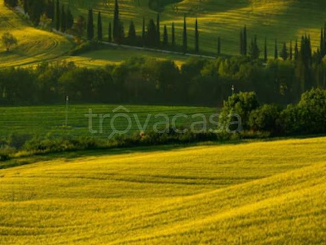 Villa in affitto a Empoli viale togliatti, arredato, giardino privato TrovaCasa