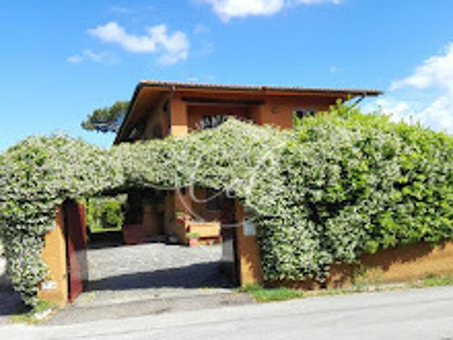 Villa in affitto a Forte dei Marmi, case in affitto Forte dei Marmi