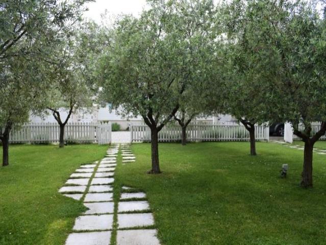Villa in affitto a Forte Dei Marmi