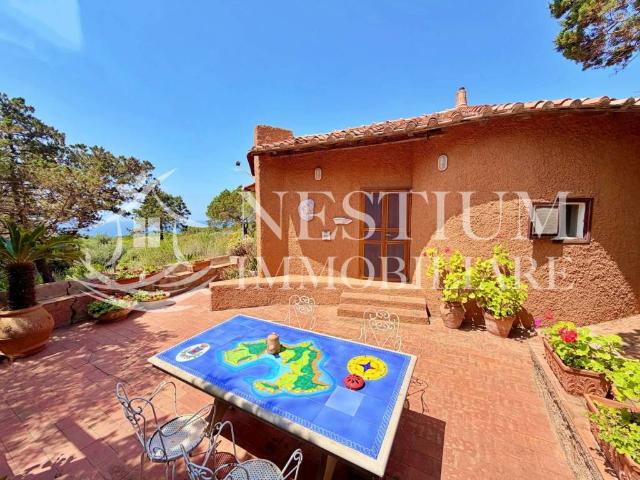 Villa in affitto a Isola del Giglio località Vigna Secca, arredato, giardino privato, terrazzo TrovaCasa