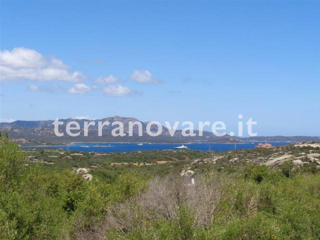 Villa in affitto a Olbia OT