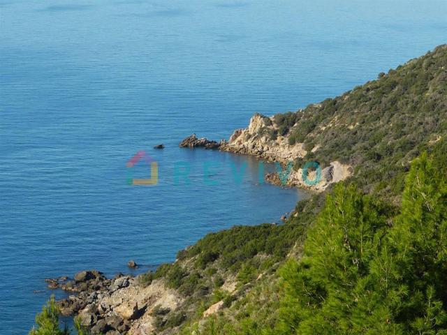 Villa in affitto a Orbetello via Cala di Forno, arredato, giardino, posto auto TrovaCasa