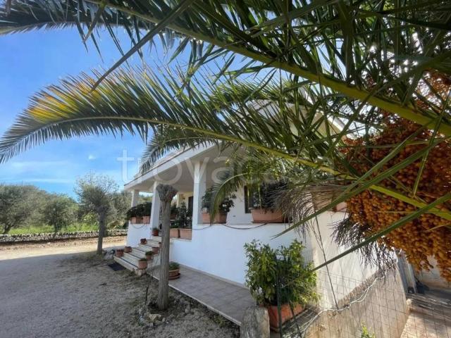 Villa in affitto a Ostuni contrada Trinchera s.n.c luminoso, veranda TrovaCasa