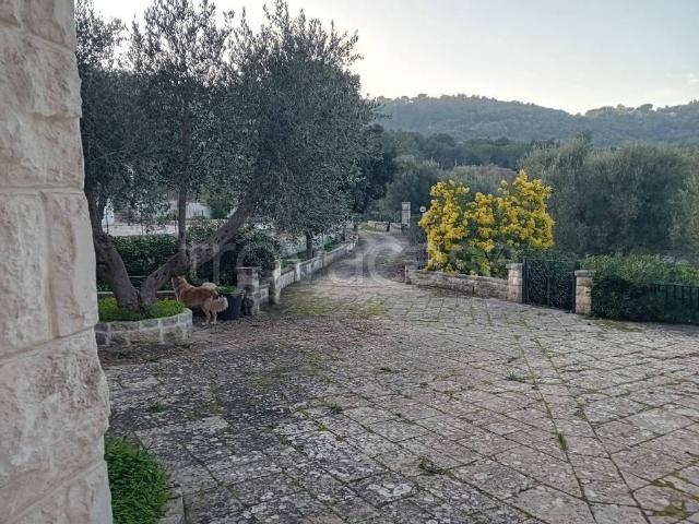 Villa in affitto a Ostuni corso Giuseppe Mazzini, arredato, giardino privato, terrazzo TrovaCasa