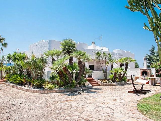 Villa in affitto a Monopoli contrada Lamandia, arredato, giardino privato, terrazzo TrovaCasa