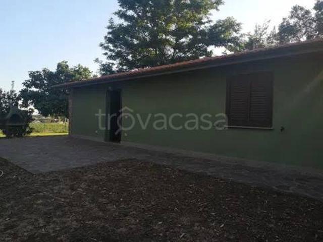 Villa in affitto a Montalto di Castro strada Del Tirreno, giardino, posto auto, fronte mare TrovaCasa