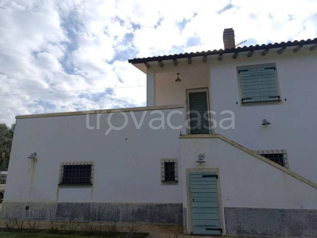 Villa in affitto a Montalto di Castro strada Della Perazzeta, 3, arredato, giardino, terrazzo TrovaCasa