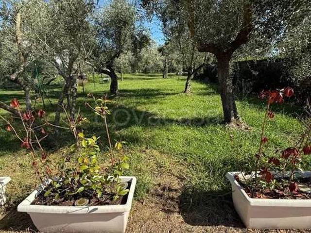 Villa in affitto a Montignoso, giardino privato, posto auto, terrazzo TrovaCasa
