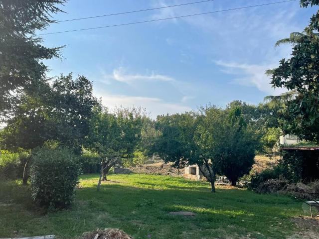 Villa in affitto a Manciano GR