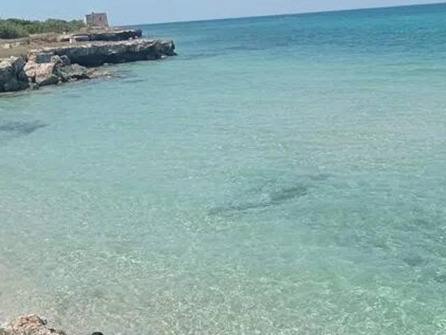 Villa in affitto a Melendugno LE