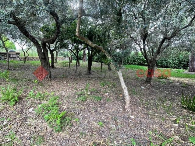 Villa in affitto a Minturno