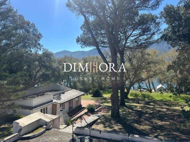 Villa in affitto a Sabaudia LT