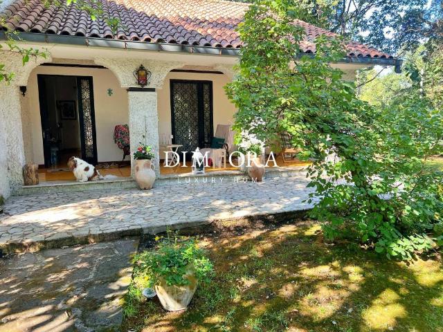 Villa in affitto a Sabaudia LT