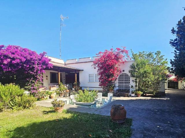 Villa in affitto a San Felice Circeo LT