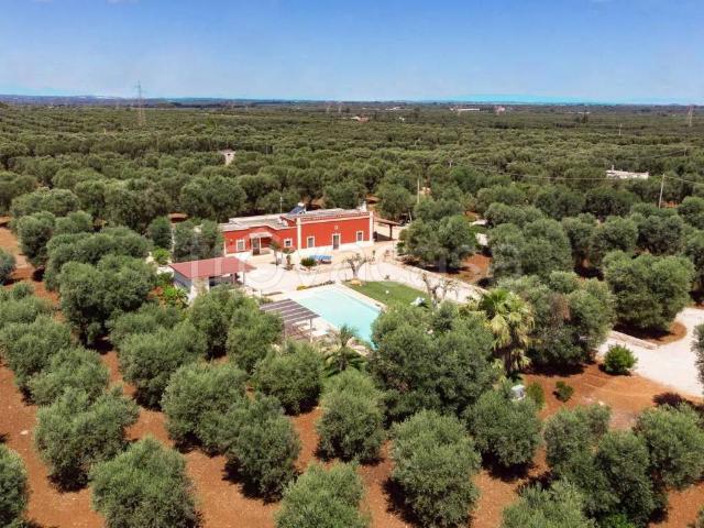 Villa in affitto a San Vito dei Normanni contrada Grattiglie s.n.c caminetto, lavastoviglie, piscina TrovaCasa