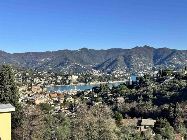 Villa in affitto a Santa Margherita Ligure GE