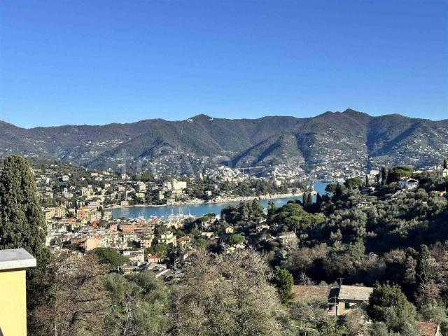 Villa in affitto a Santa Margherita Ligure via Madonnetta, 41, arredato, giardino privato, posto auto TrovaCasa