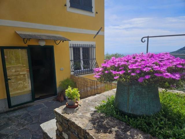 Villa in affitto a Santa Margherita Ligure via Torre San Gioacchino, arredato, giardino privato, posto auto TrovaCasa