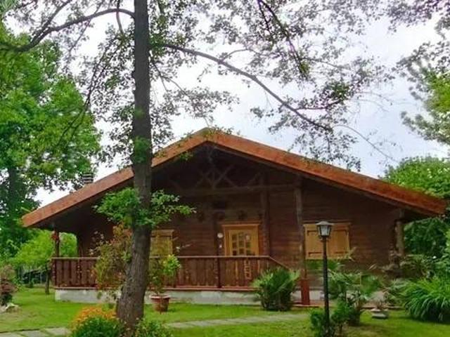 Villa in affitto a Pietrasanta LU