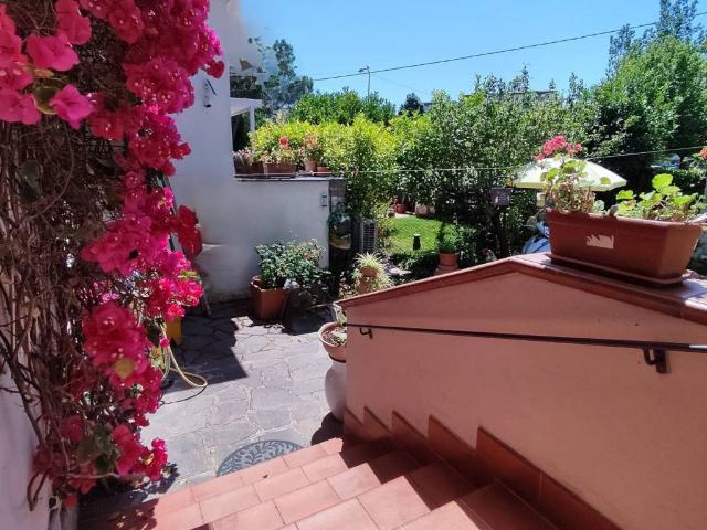Villa in affitto a Pisa PI