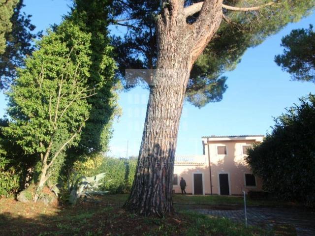 Villa in affitto a Roma RM