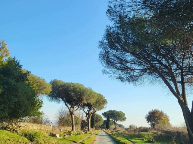 Villa in affitto a Roma RM