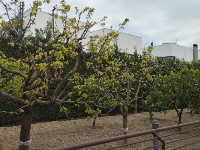 Villa in affitto a Trani BT