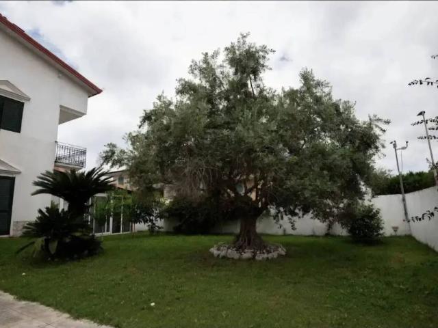 Villa in affitto a Villaricca NA