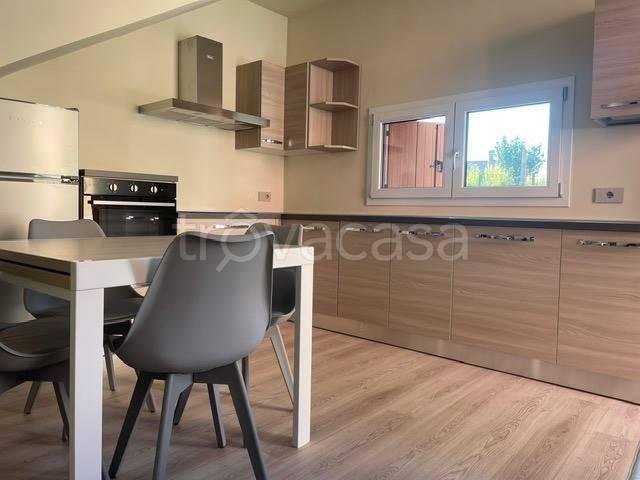 Villa in affitto a Zevio via Filippo Zerlotti, arredato, posto auto, terrazzo TrovaCasa
