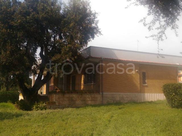 Villa in affitto ad Anzio via dei Gladioli, arredato, giardino privato, terrazzo TrovaCasa