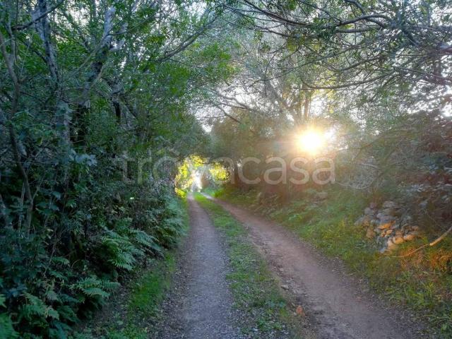 Villa in affitto ad Arzachena sp115, arredato, giardino privato, caminetto TrovaCasa