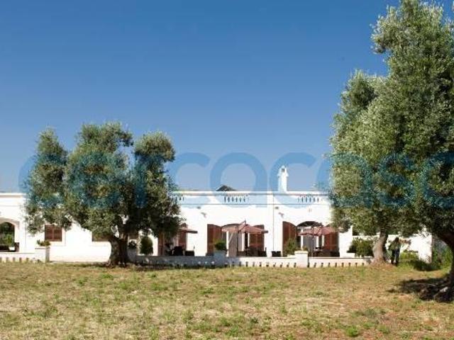 Villa in affitto in Contrada Macchia Di Monte, Monopoli