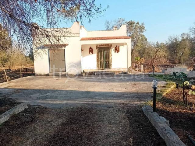 Villa in in affitto da privato a Torre Santa Susanna via Vecchia per Erchie, da privato, ripostiglio TrovaCasa