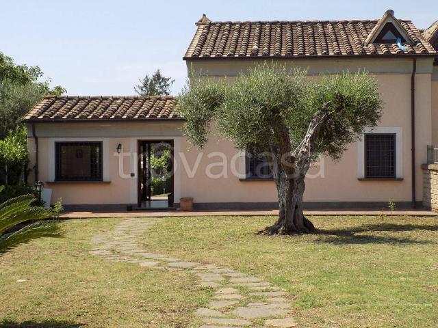 Villa in in affitto da privato a Trevignano Romano via di Mezzo Inferiore, 43/a, giardino, posto auto, terrazzo TrovaCasa