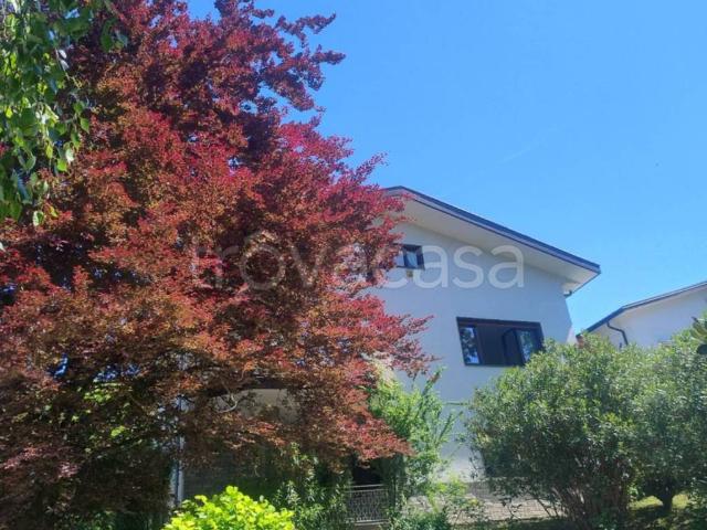 Villa in in affitto da privato a Varese via Piemonte, giardino, box, da privato TrovaCasa