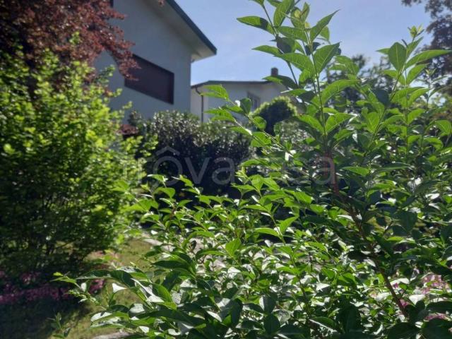 Villa in in affitto da privato a Varese via Piemonte, 71, giardino, box, terrazzo TrovaCasa